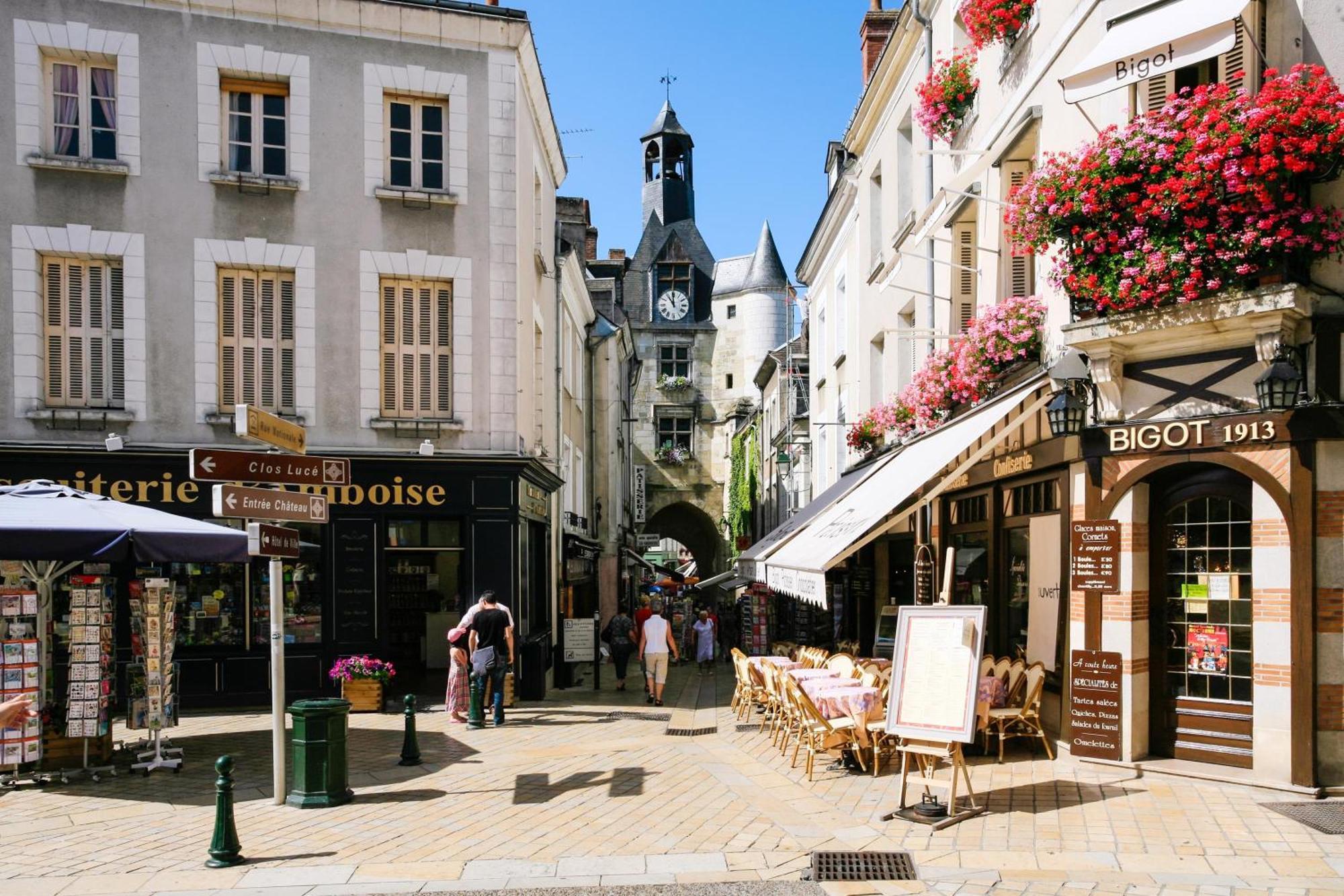 Apartamento Terrasse Sur La Tour Garconnet Amboise Exterior foto